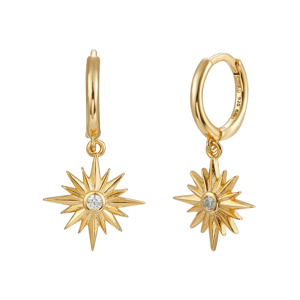Polar earrings